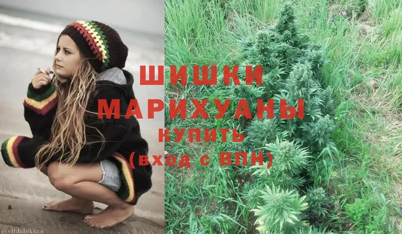 Бошки марихуана LSD WEED  МЕГА tor  Зима  закладки 